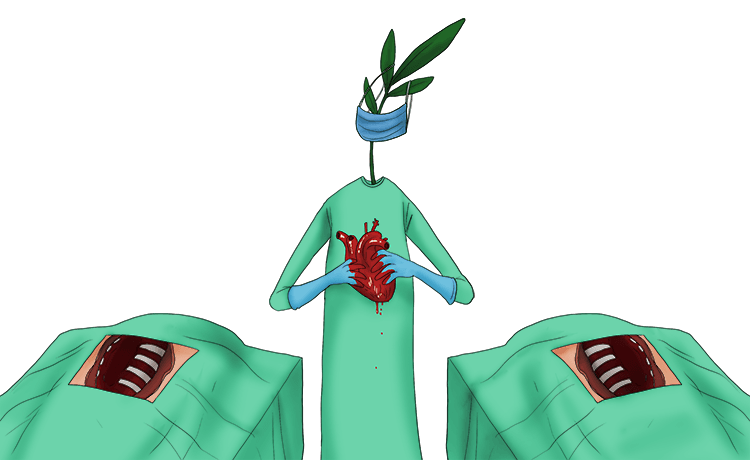 The transfer was performed by the plant (transplant) who moved an organ from one person's body to another.